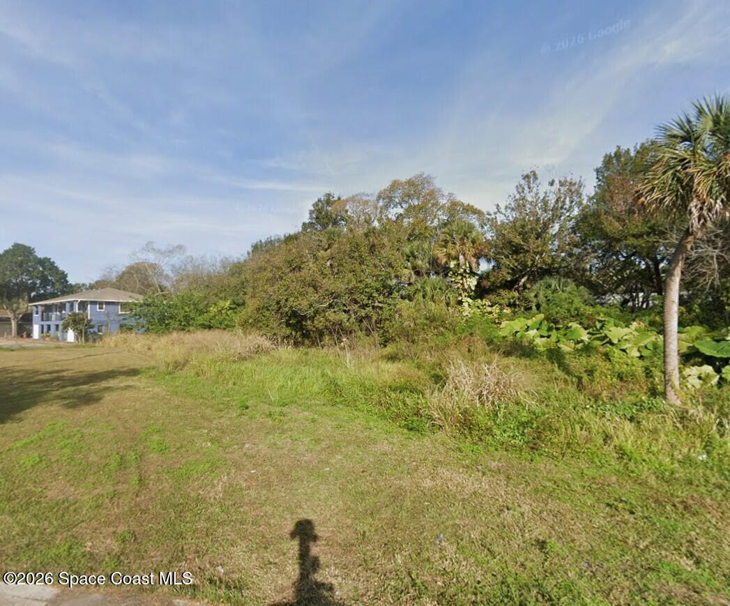 1600 Palmetto Street
