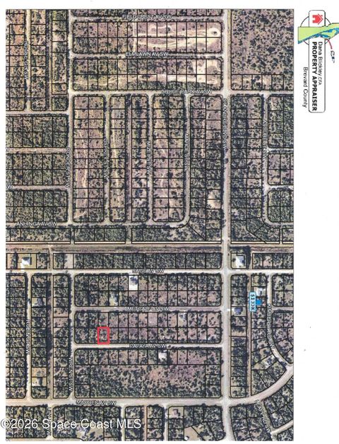 3182 Papaya Avenue SW Palm Bay FL 32908