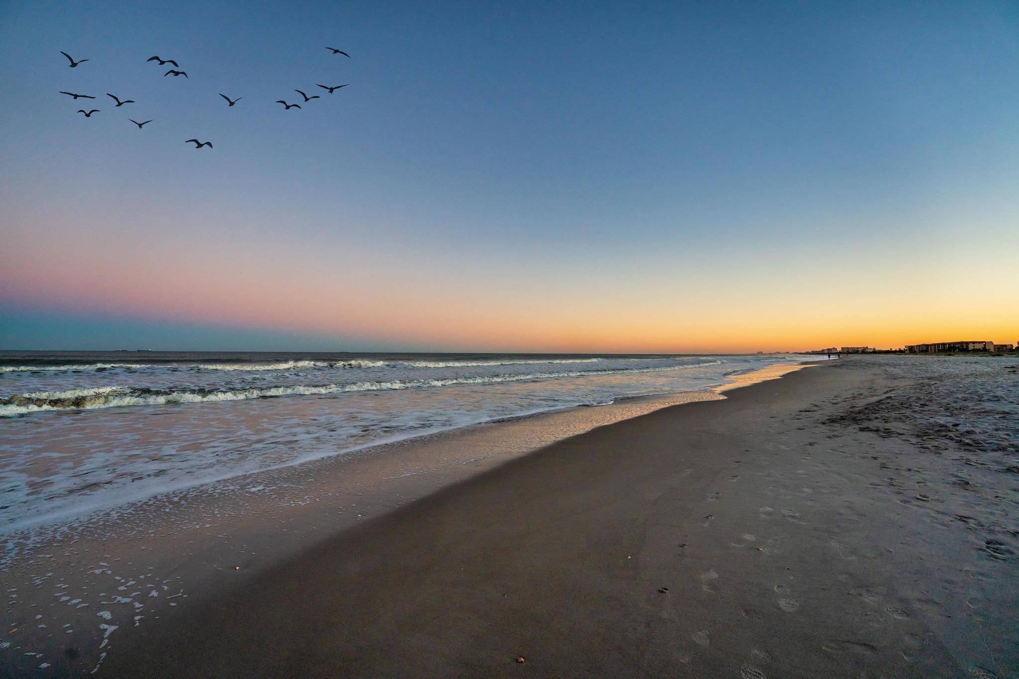 217 Ocean Park Lane Lane V49