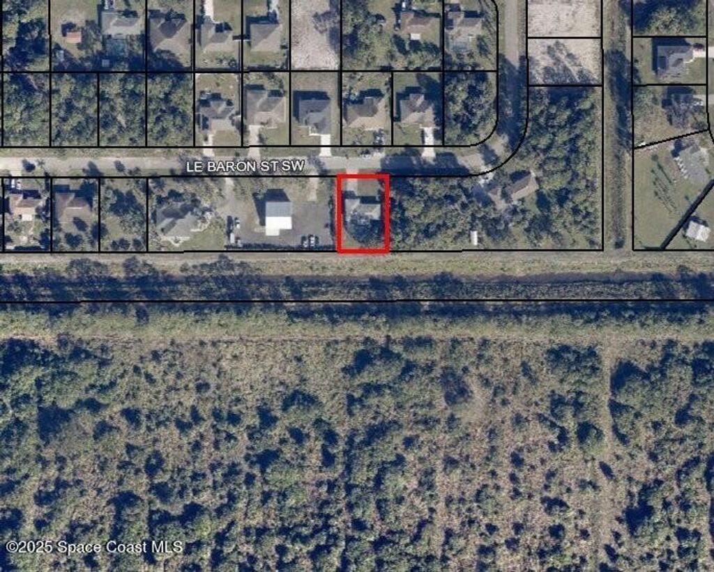Photo of 916 Le Baron Street SW, Palm Bay, FL 32908 (MLS # 1058676)