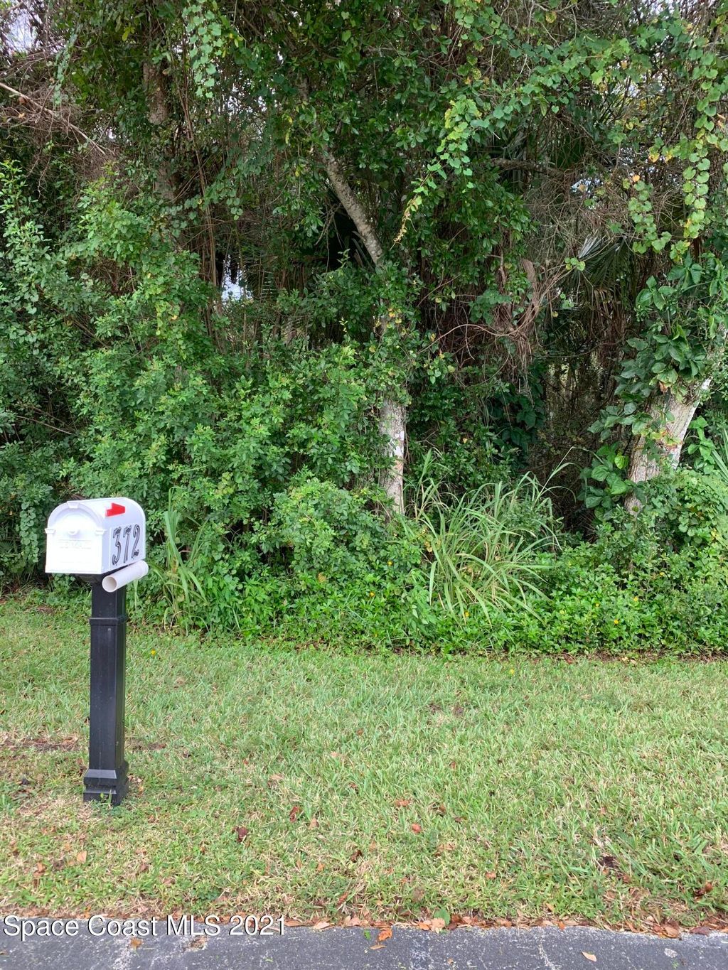 listing image 53