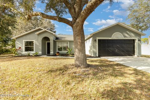 A home in Palm Bay