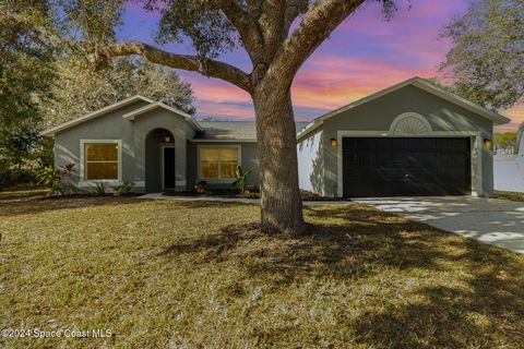 A home in Palm Bay