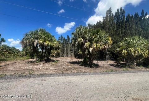 2328 Abaco Avenue SW Palm Bay FL 32908