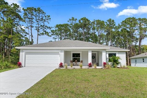 A home in Palm Bay
