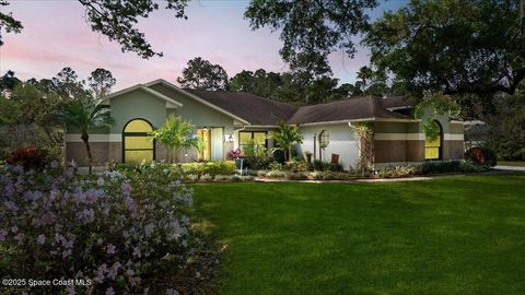 5395 Amy Way Mims FL 32754