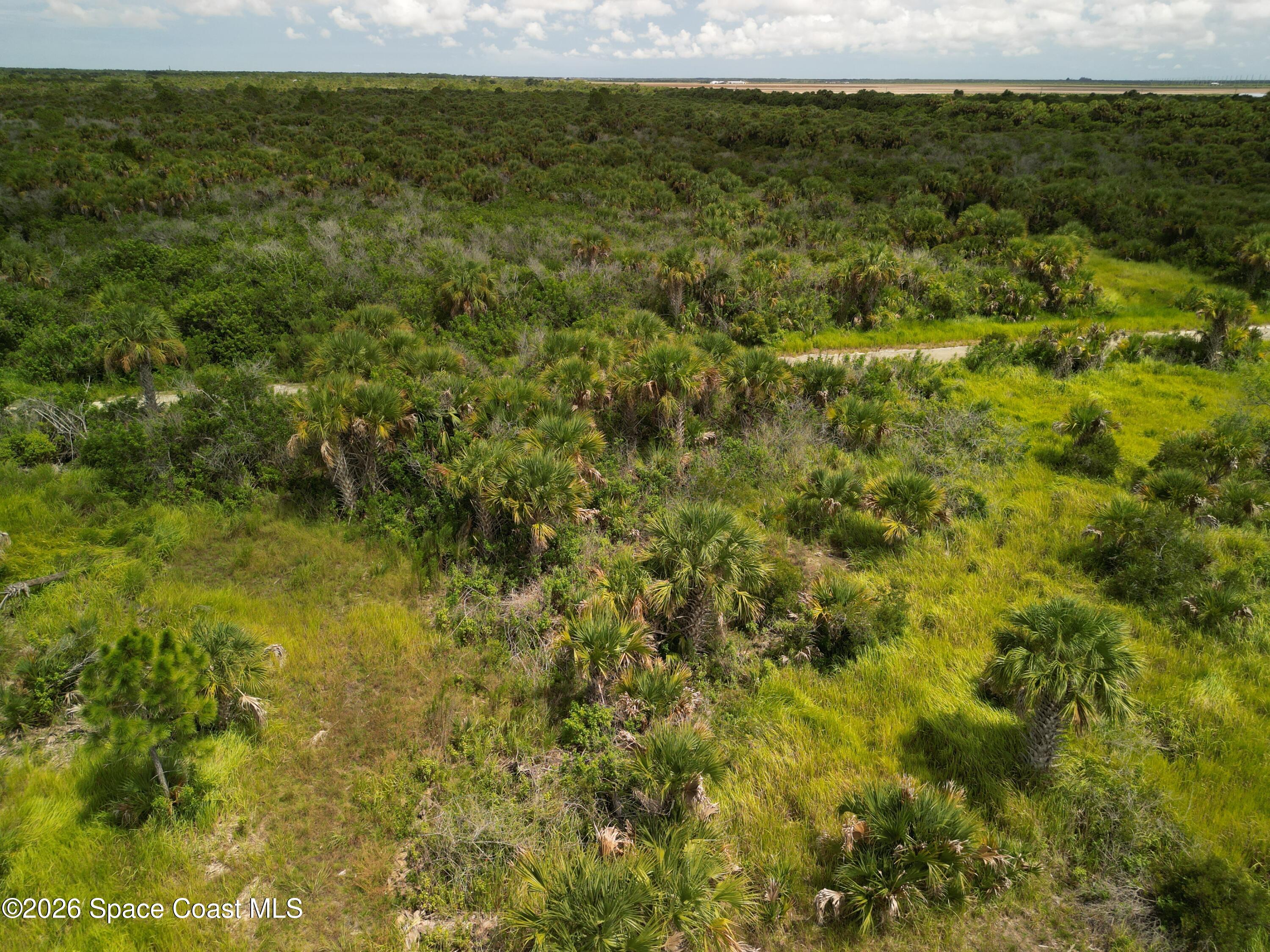 3362 Slimtwig Avenue SW