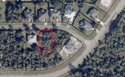 248 Farley Street SW Palm Bay FL 32908