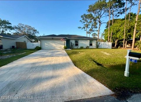 A home in Palm Bay