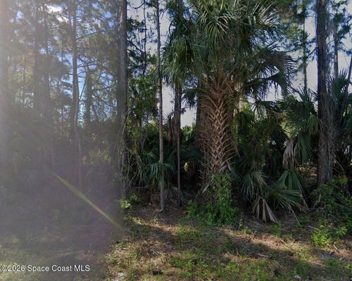 114 LAFLEUR ST SW, PALM BAY, FL 32908 - Image 6edffdfaaee3877838c8cfddf251efe1/1895116202
