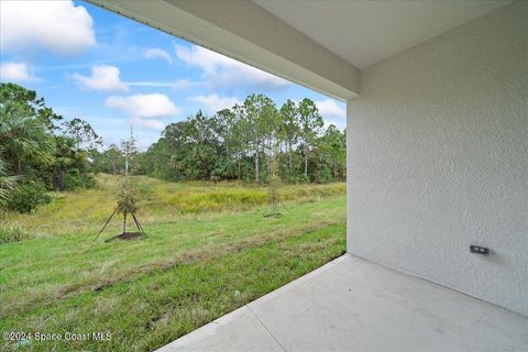 A home in Palm Bay