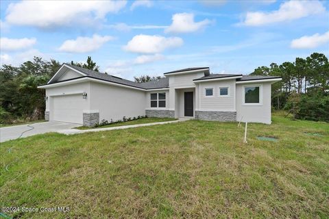 A home in Palm Bay