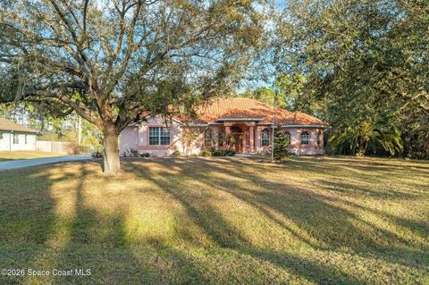 Property photo of 5025 Fawn Lake Boulevard, Mims, FL 32754