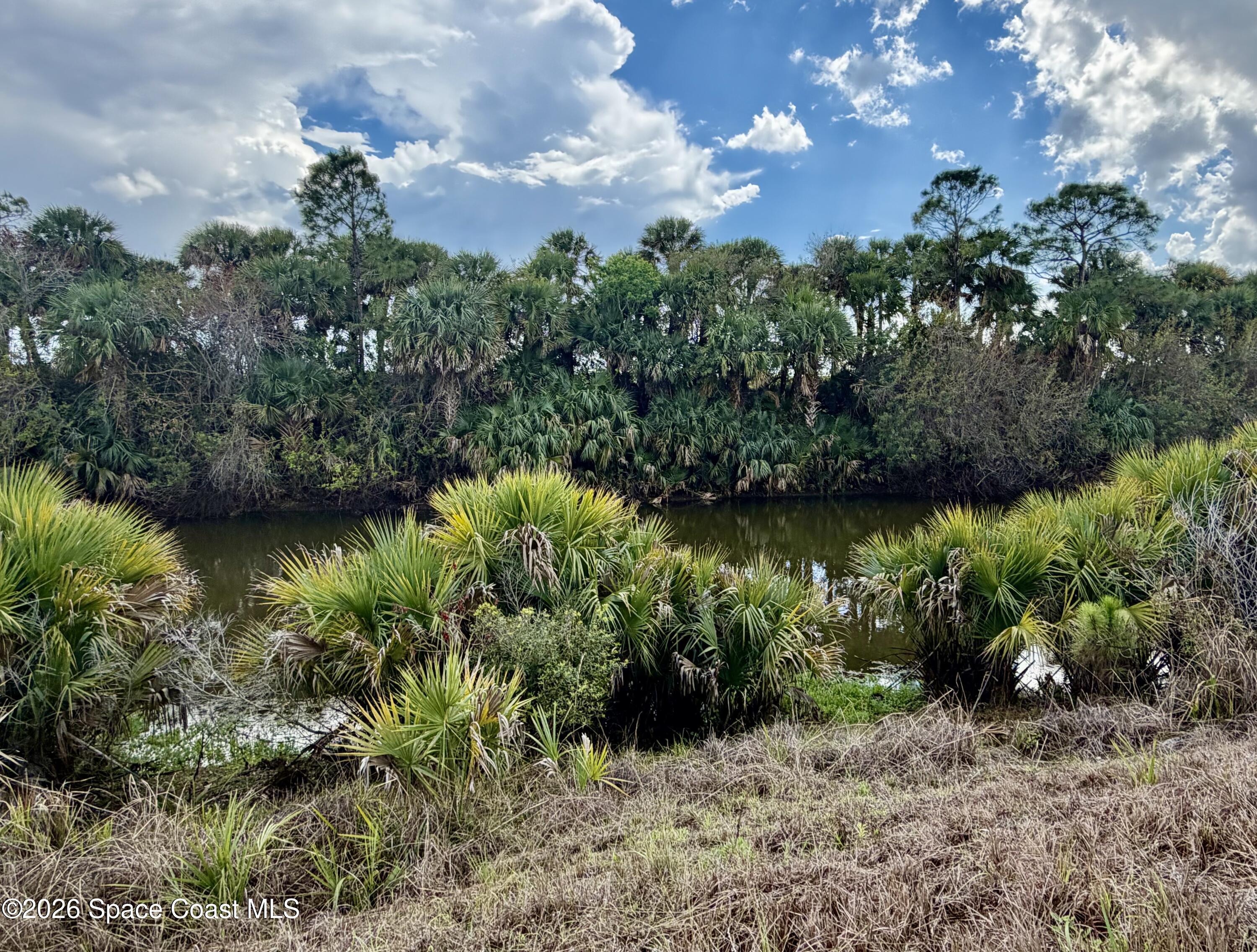 318 Lagoon Street SW