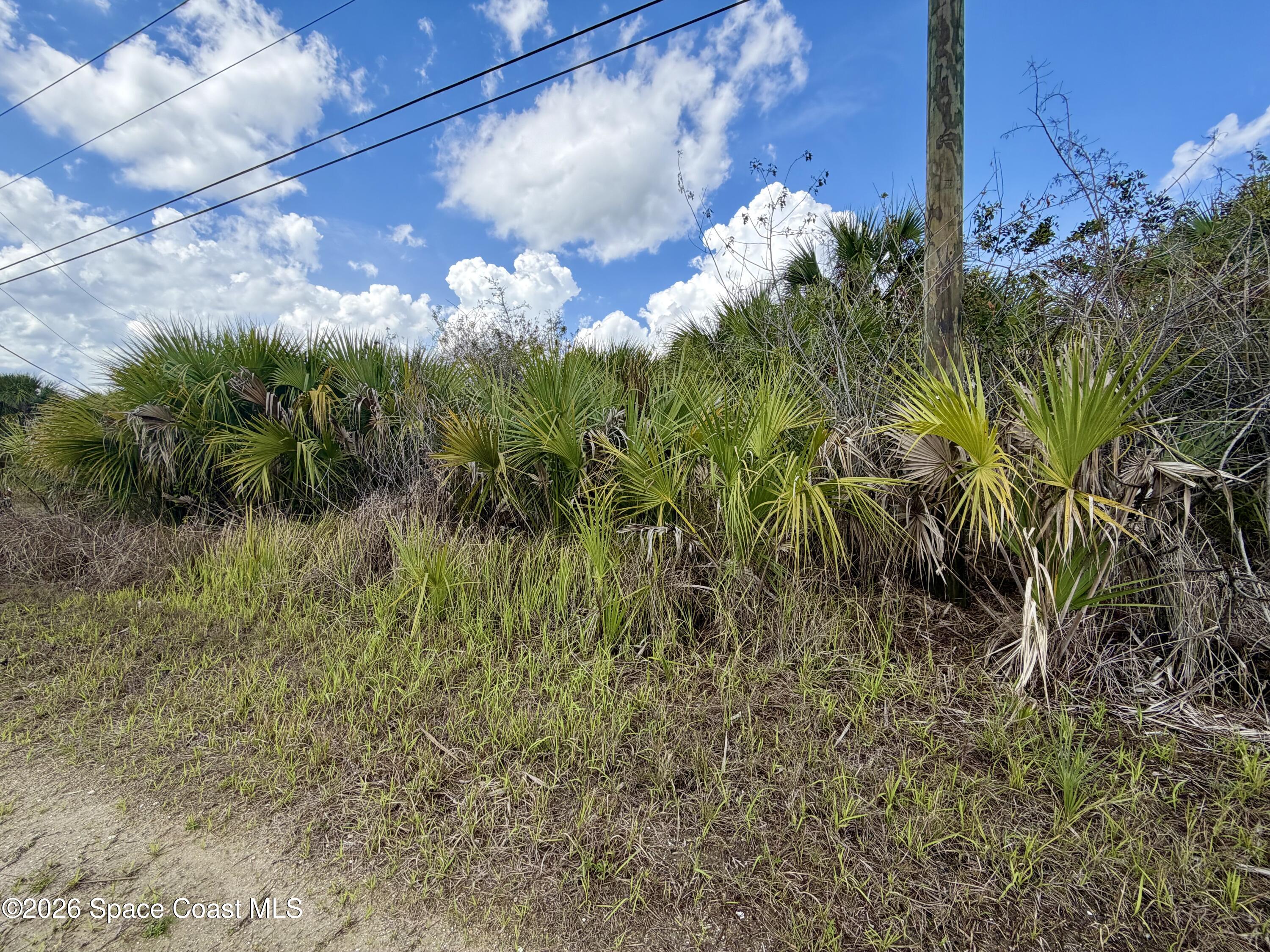 318 Lagoon Street SW