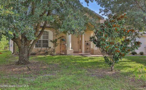 A home in Palm Bay