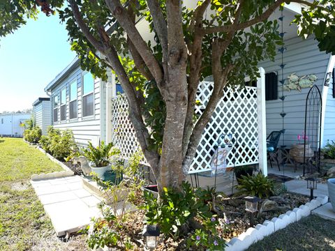 A home in Palm Bay