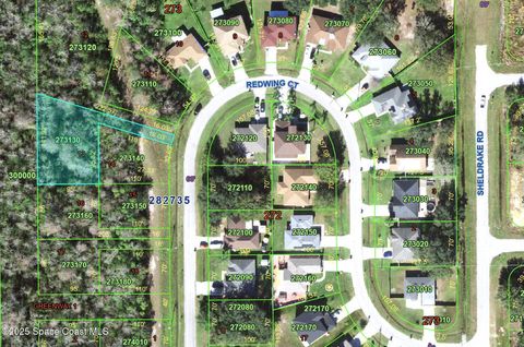 131 Redwing Court Poinciana FL 34759