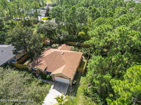 A home in Palm Bay