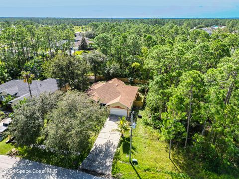 A home in Palm Bay