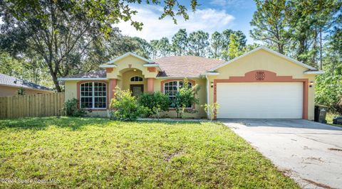 A home in Palm Bay