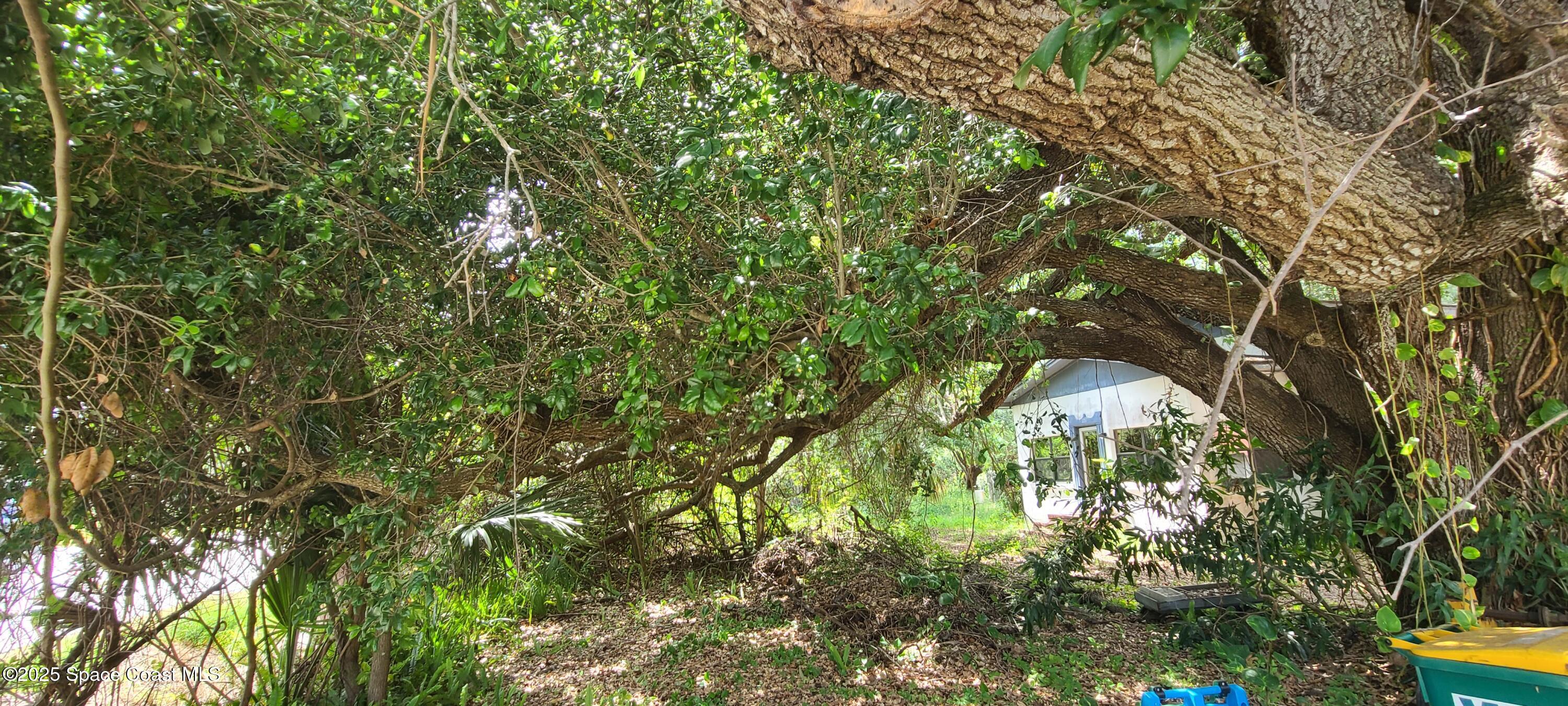 920 Malabar Road