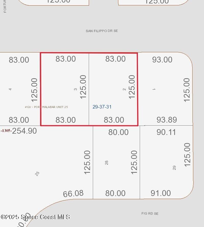 2985 2991 San Filippo (2 Lots) Drive SE