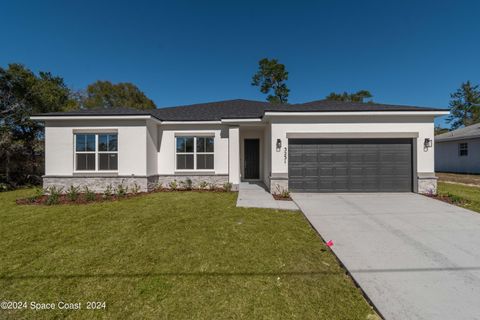 A home in Palm Bay