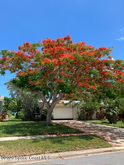 413 Sparrow Drive