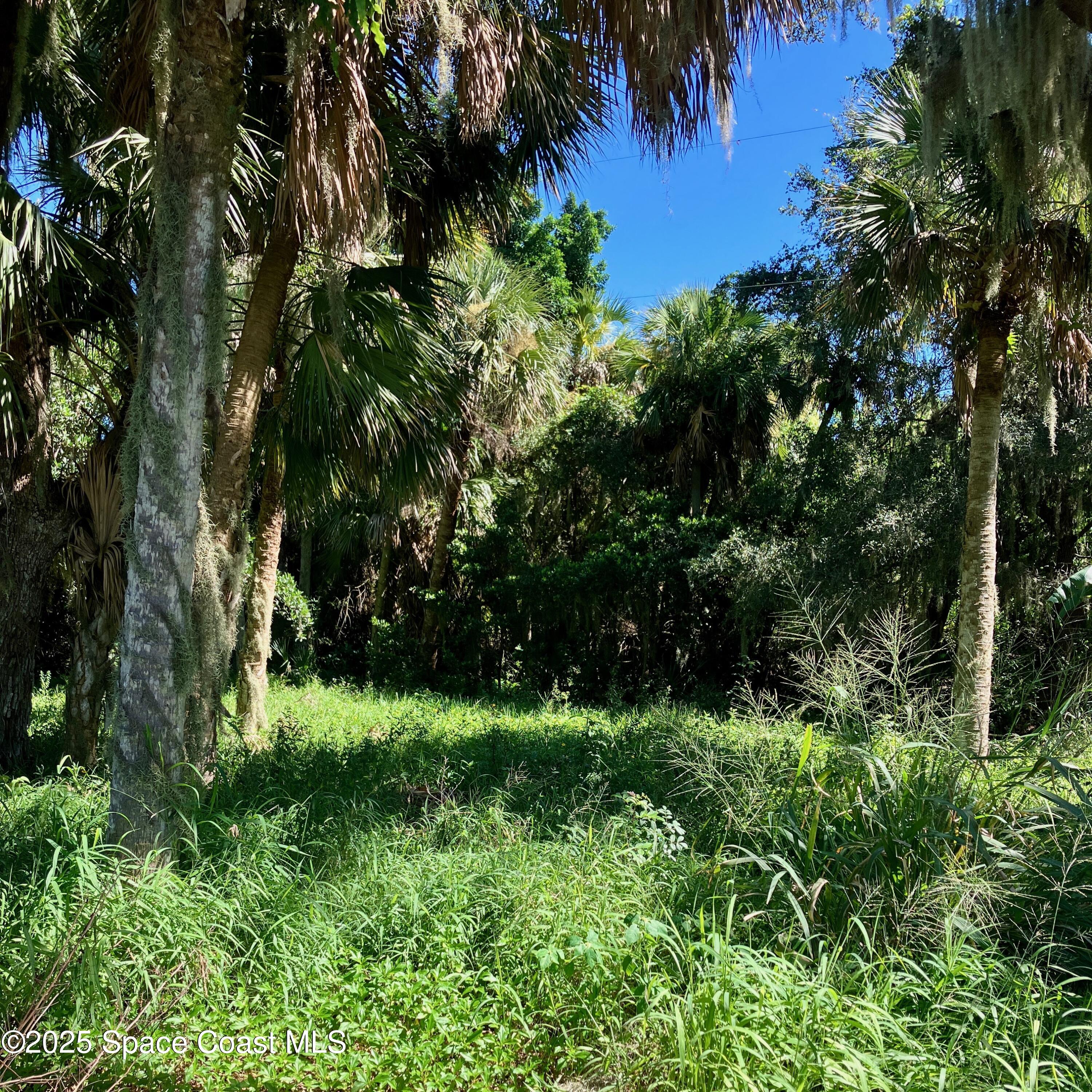5794 N Tropical Trail