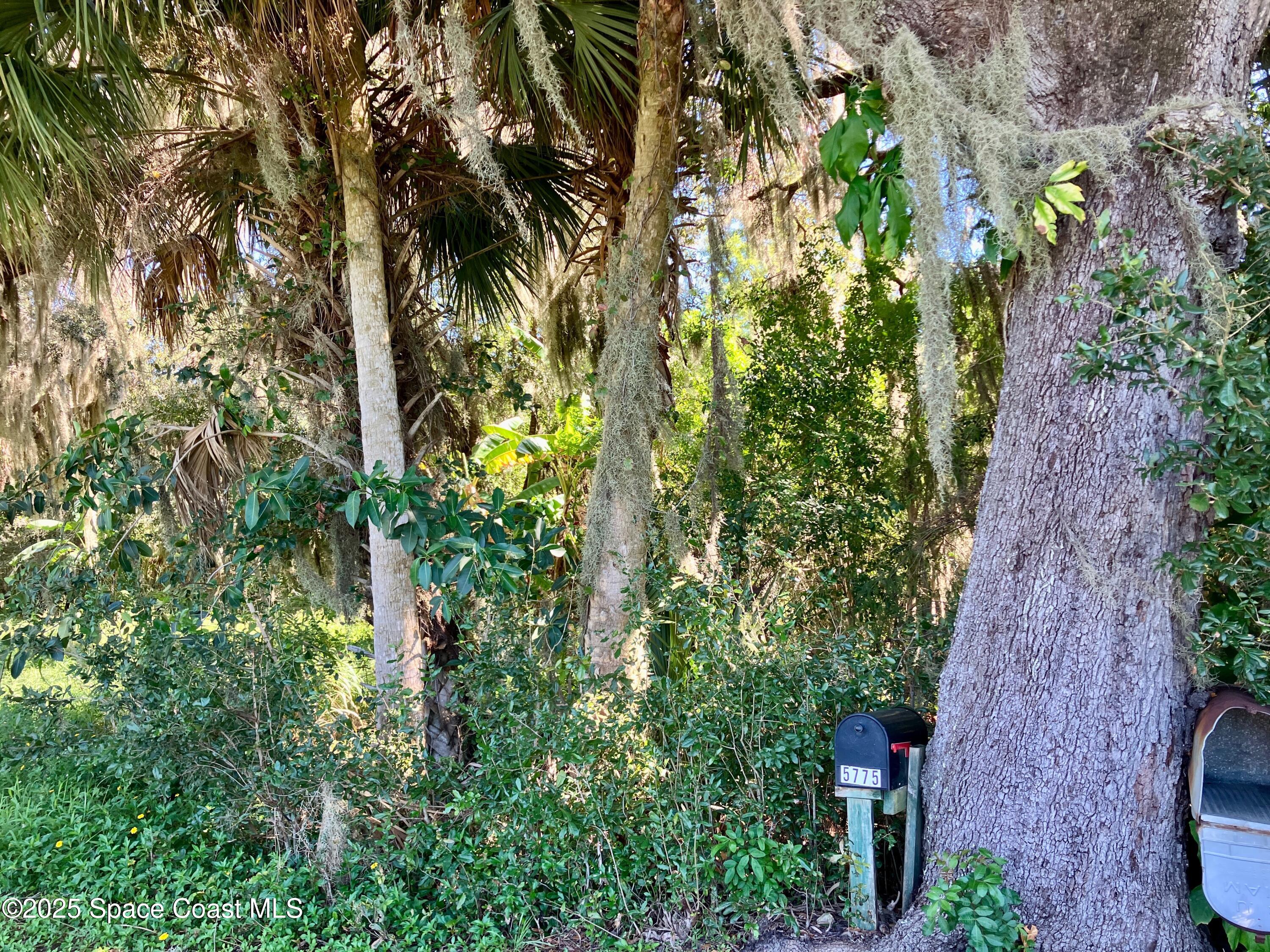 5794 N Tropical Trail