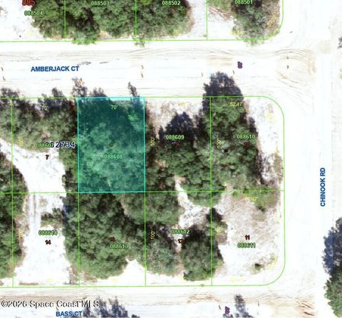 377 Amberjack Court Poinciana FL 34759