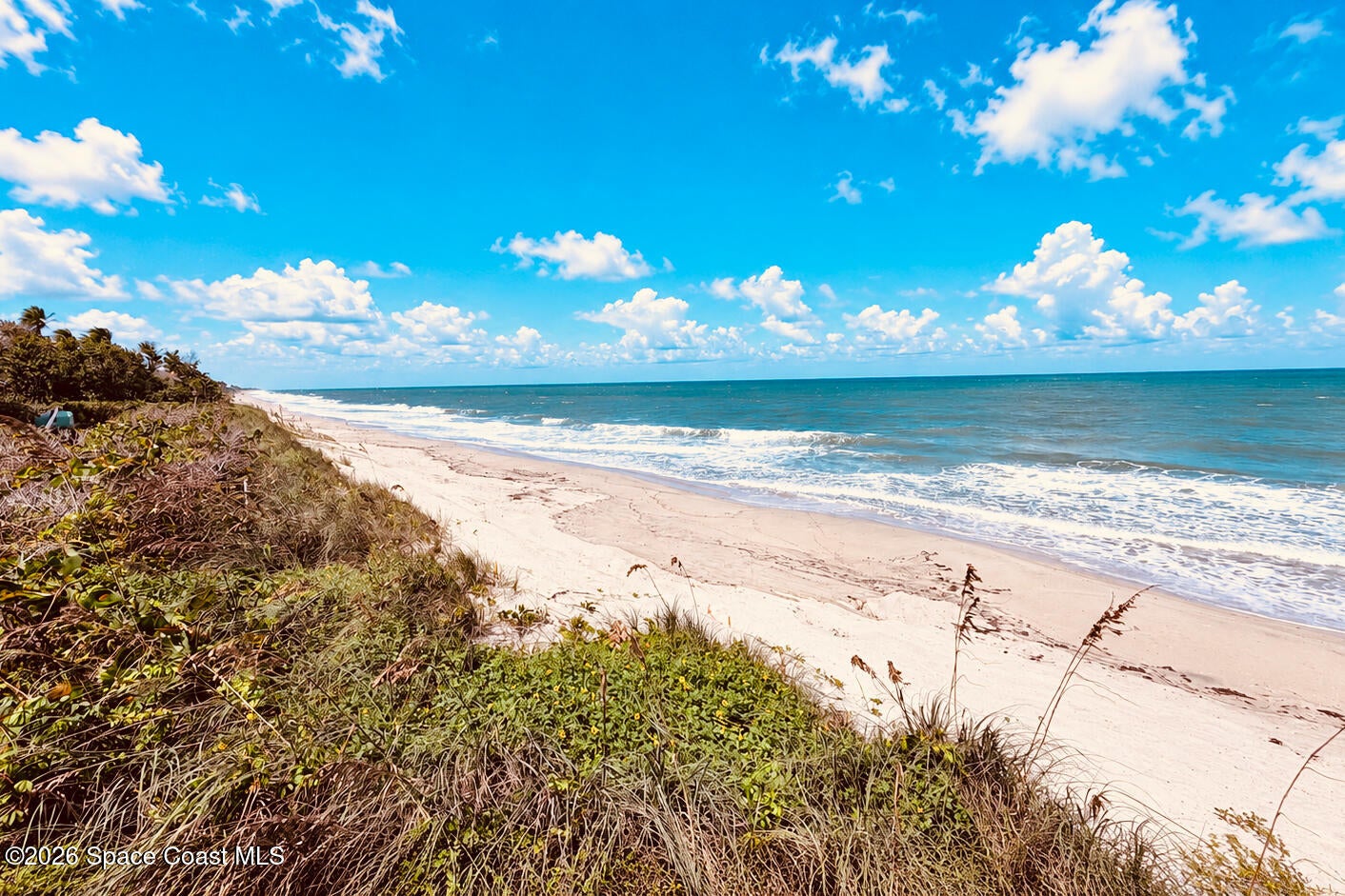 5554 Jimmy Buffett Memorial Highway 301