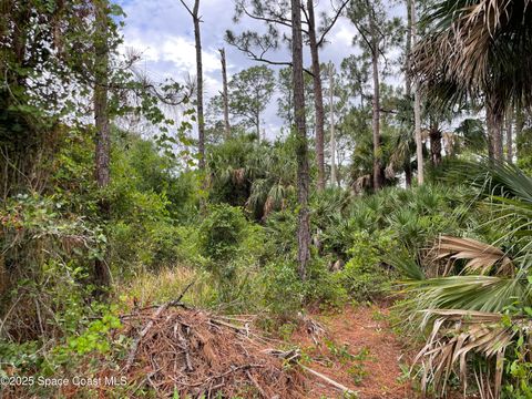 662 Sanford Street SW Palm Bay FL 32908