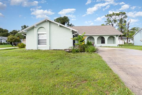 A home in Palm Bay