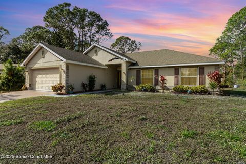 A home in Palm Bay