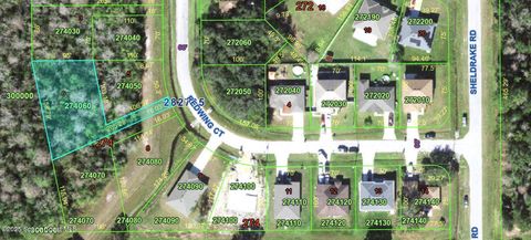 153 Redwing Court Poinciana FL 34759