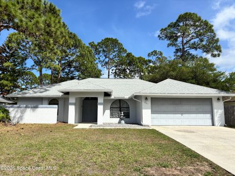 221 Seahorse Circle SE Palm Bay FL 32909