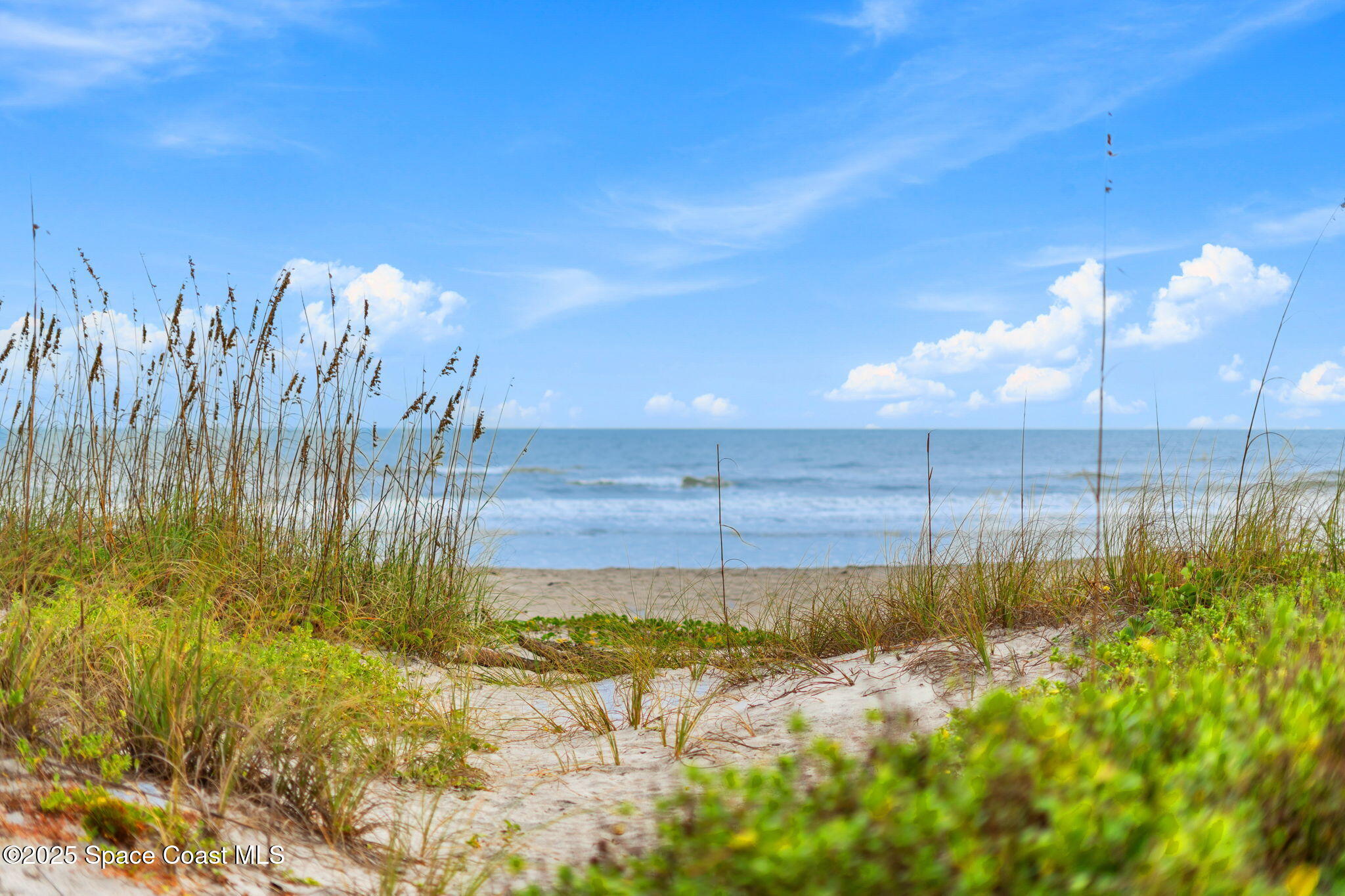 659 S Atlantic Avenue