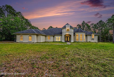 1399 Snapping Turtle Road Mims FL 32754