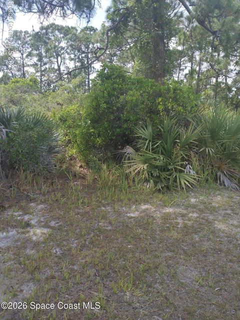 Unknown Vacant Land Canveral Grove Cocoa FL 32926