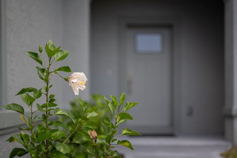 A home in Palm Bay