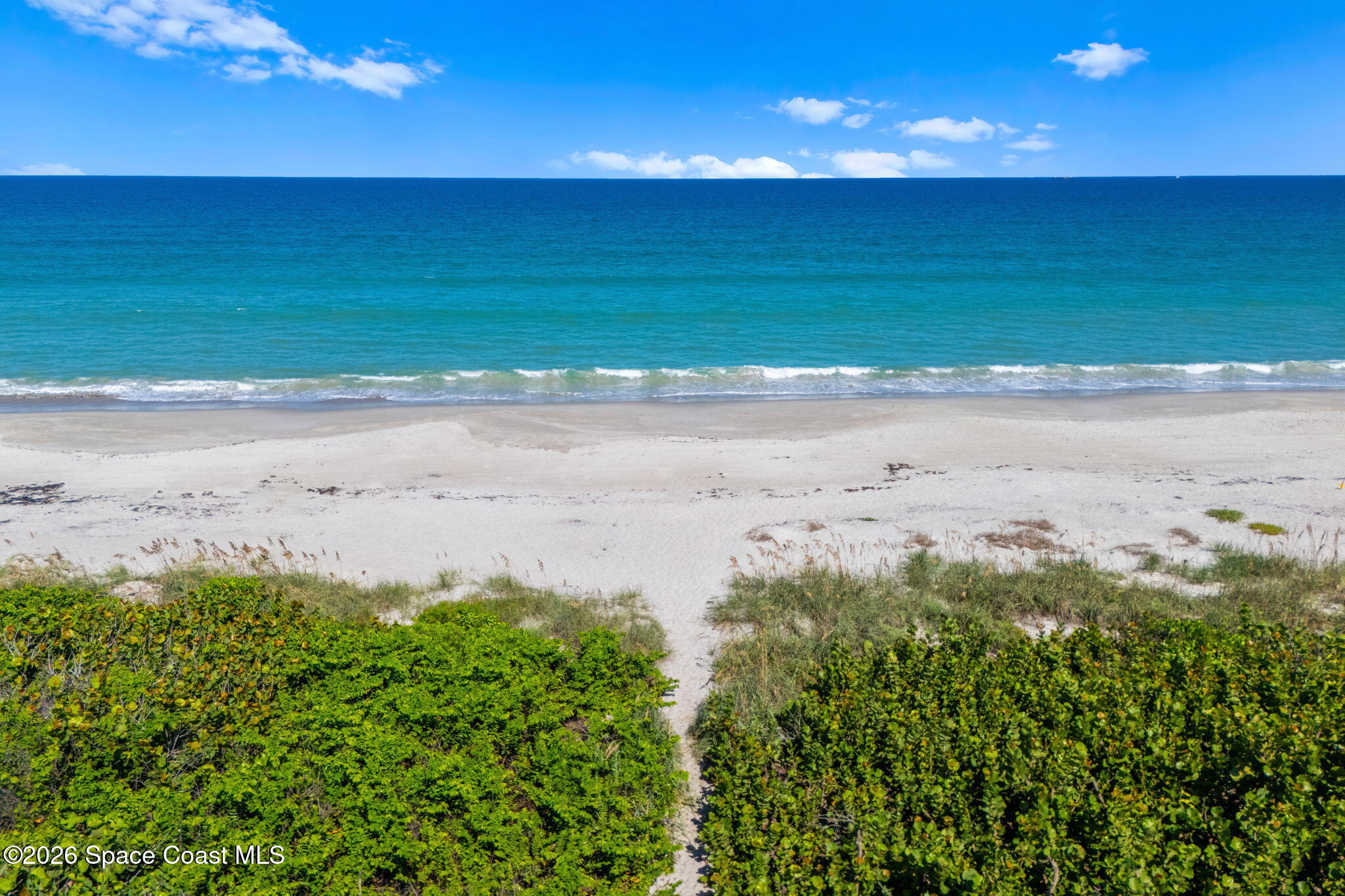 142 Palmetto Avenue 12-2