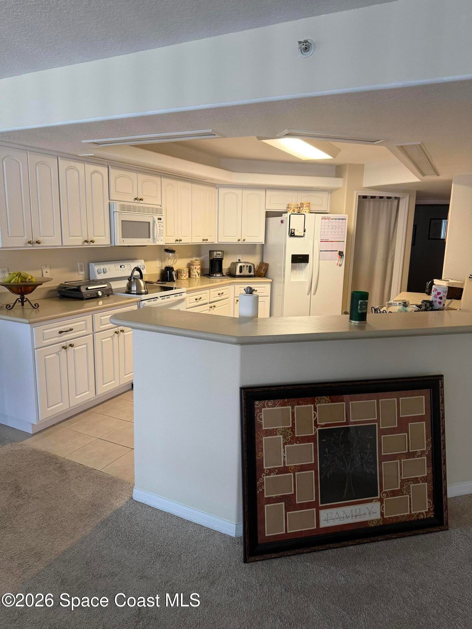 8914 Puerto Del Rio Drive 403
