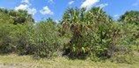 645 Akola Terrace SW Palm Bay FL 32908