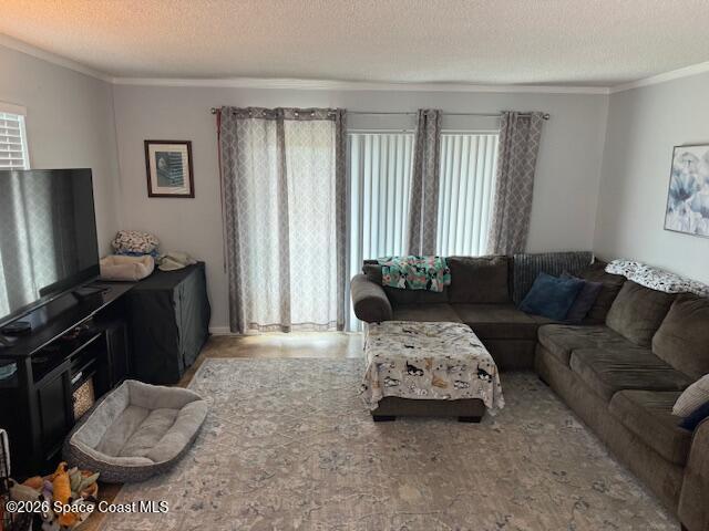 1123 El Dorado Drive