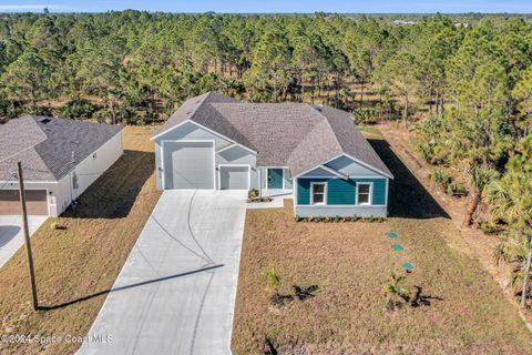 A home in Palm Bay