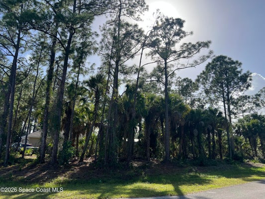 UNKNOWN WELLWOOD STREET SW, PALM BAY, FL 32908 - Image a56e628db4e77d02ad8ee769d395f094/3716918103