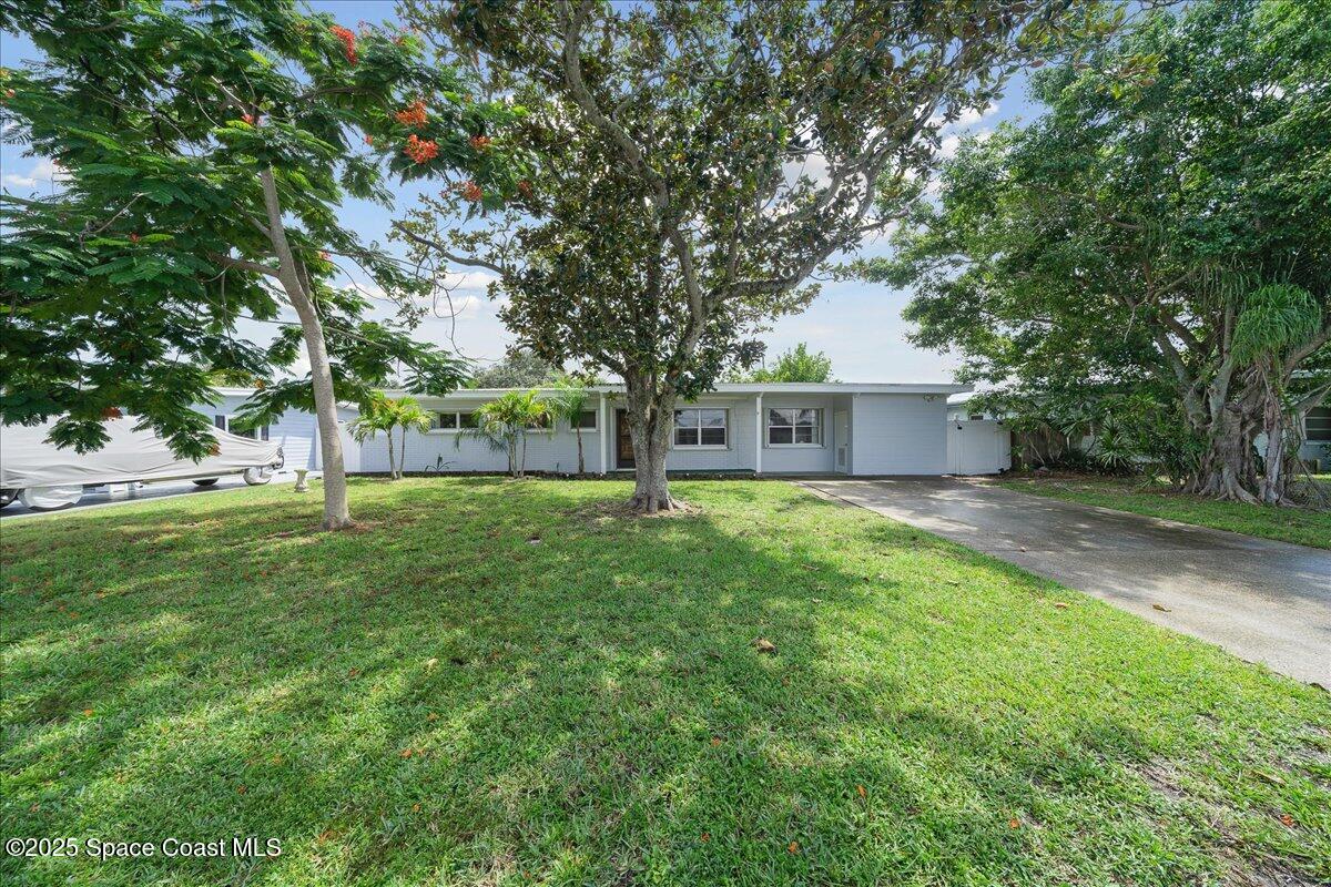255 Birch Avenue