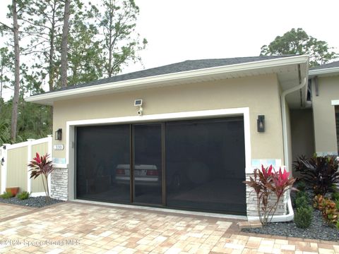 A home in Palm Bay